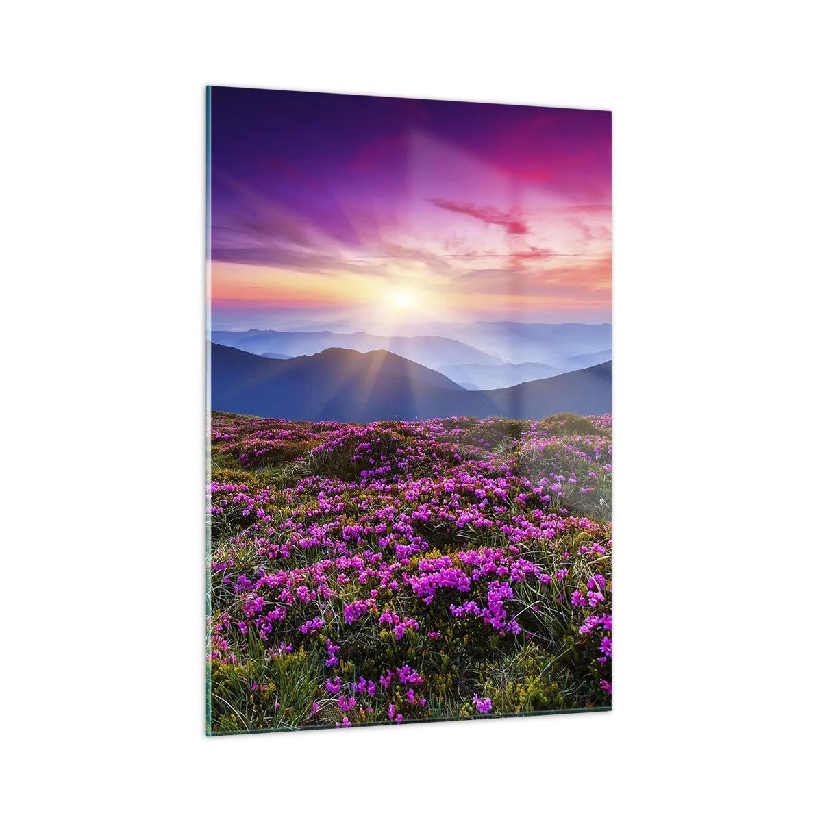 Glass picture - Smells Strongly of Herbs - 50x70 cm