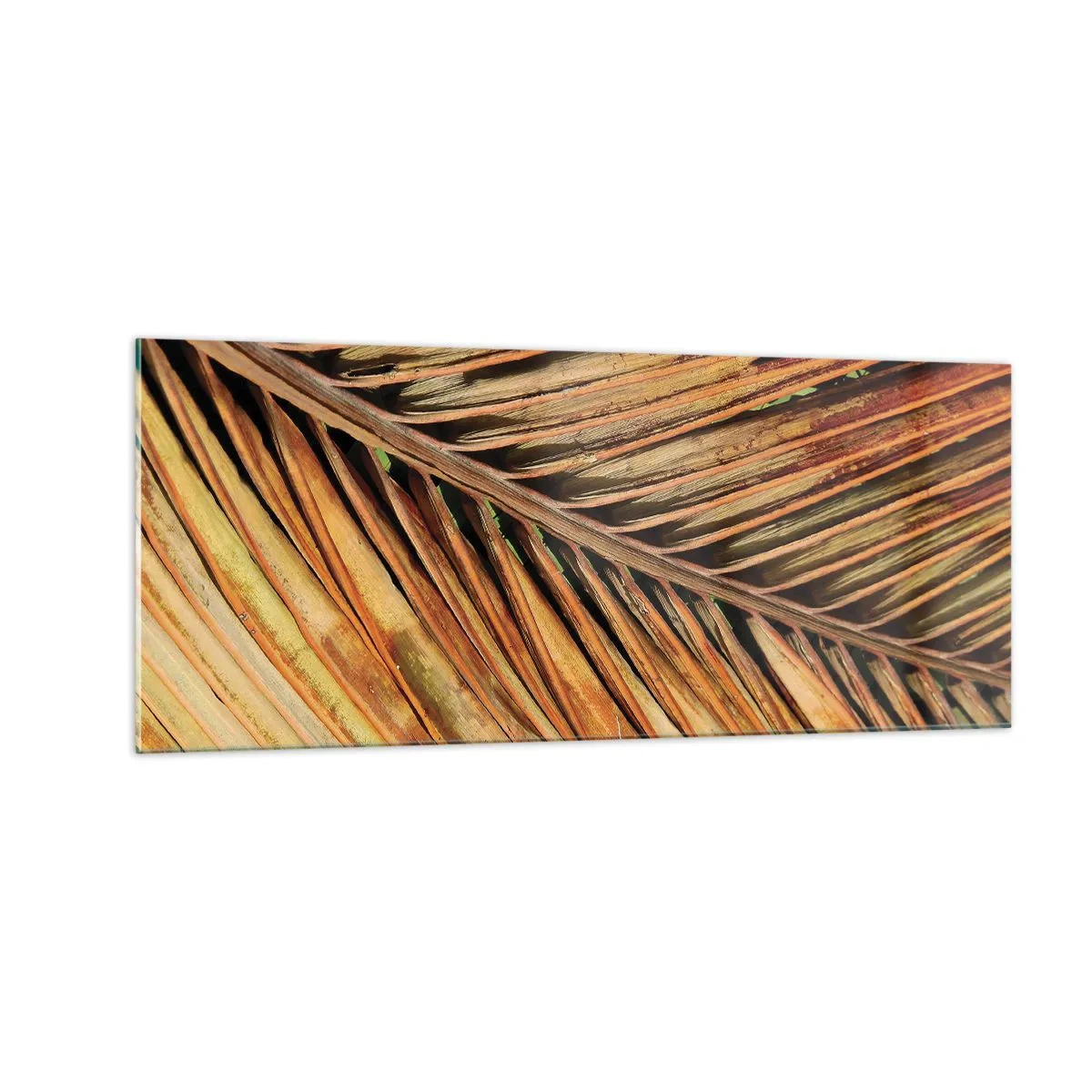 Glass picture - Coconut Gold - 100x40 cm