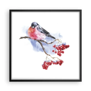 Poster in black frame - Winter in Colour - 50x50 cm