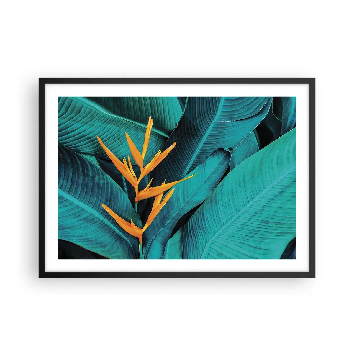 Poster in black frame - Flower of Eden - 70x50 cm