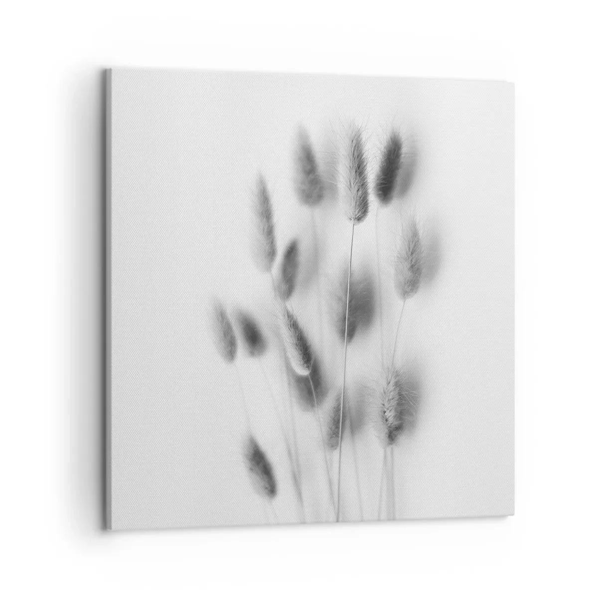 Canvas picture - Her Softness Grass - 50x50 cm