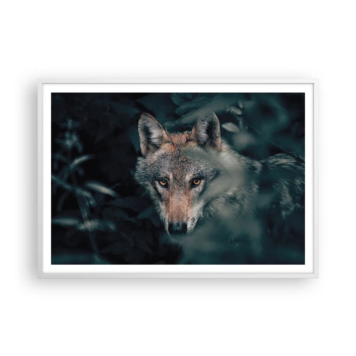Poster in white frmae - Hunter - 100x70 cm