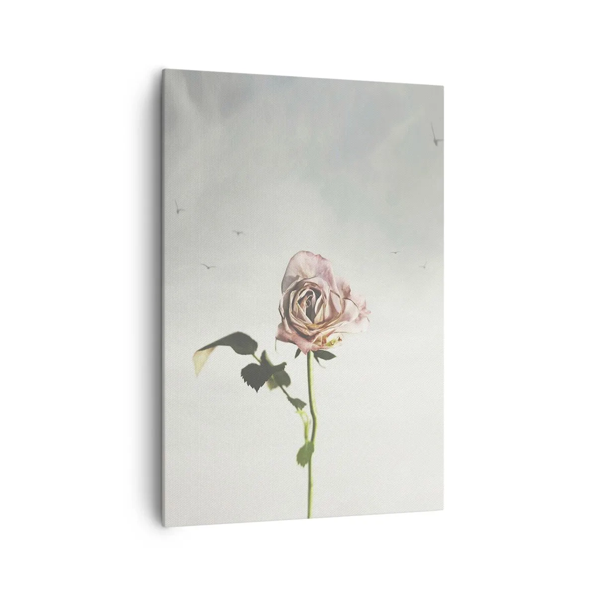 Canvas picture - Welcoming of Spring - 70x100 cm