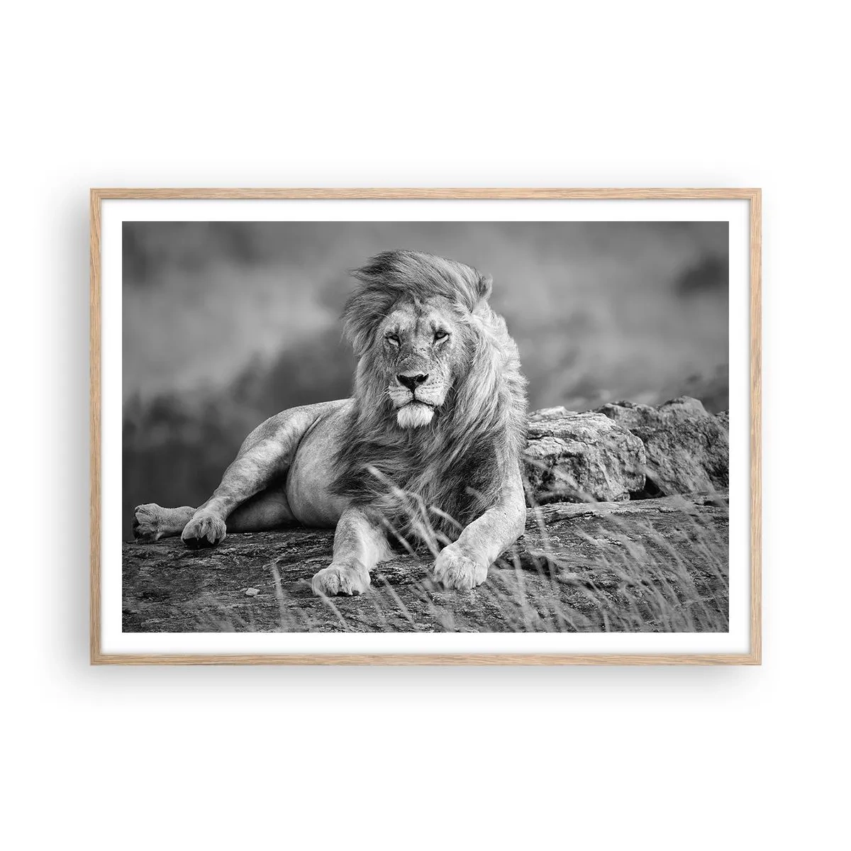 Poster in light oak frame - Royal Siesta - 100x70 cm