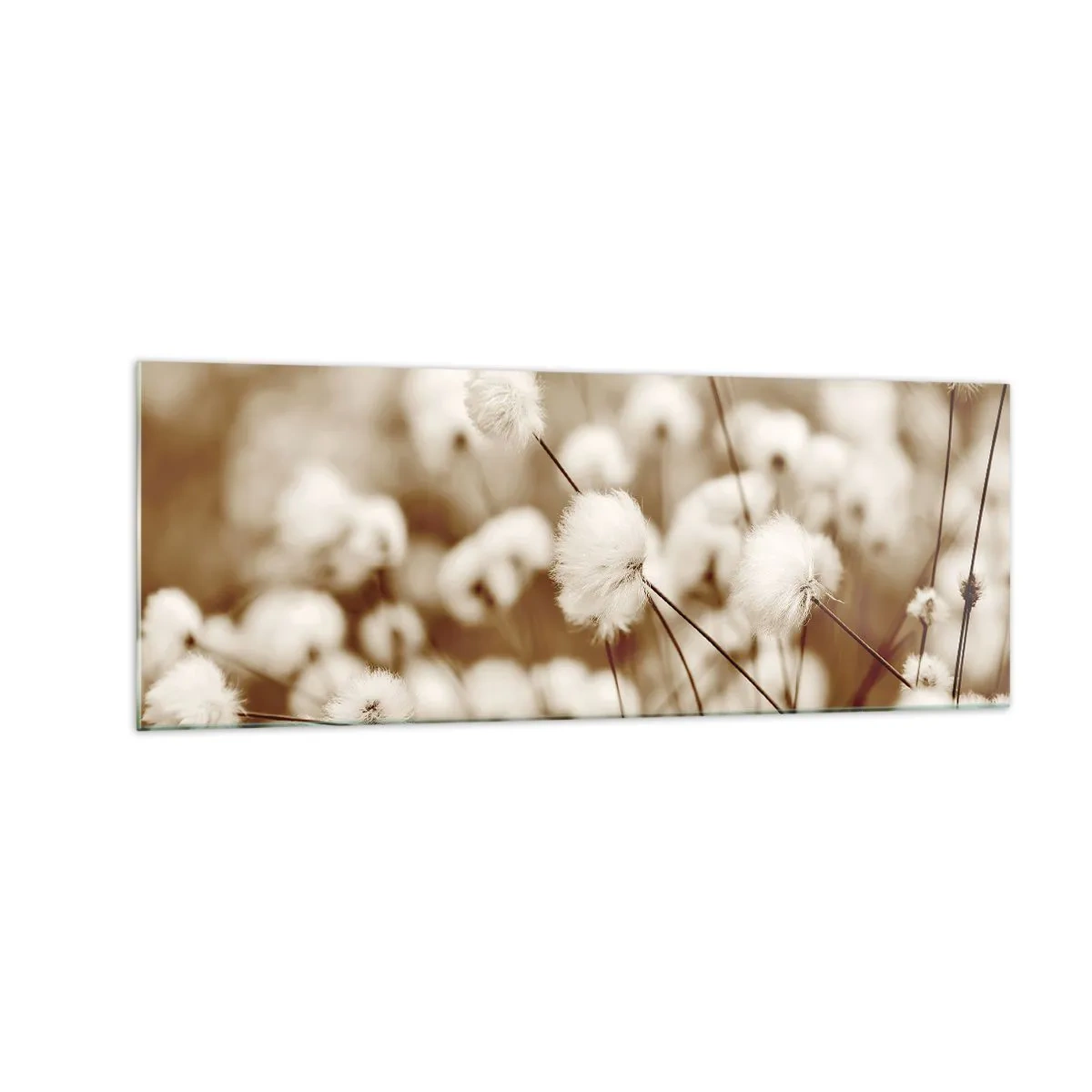 Glass picture - Fluffy field - 140x50 cm