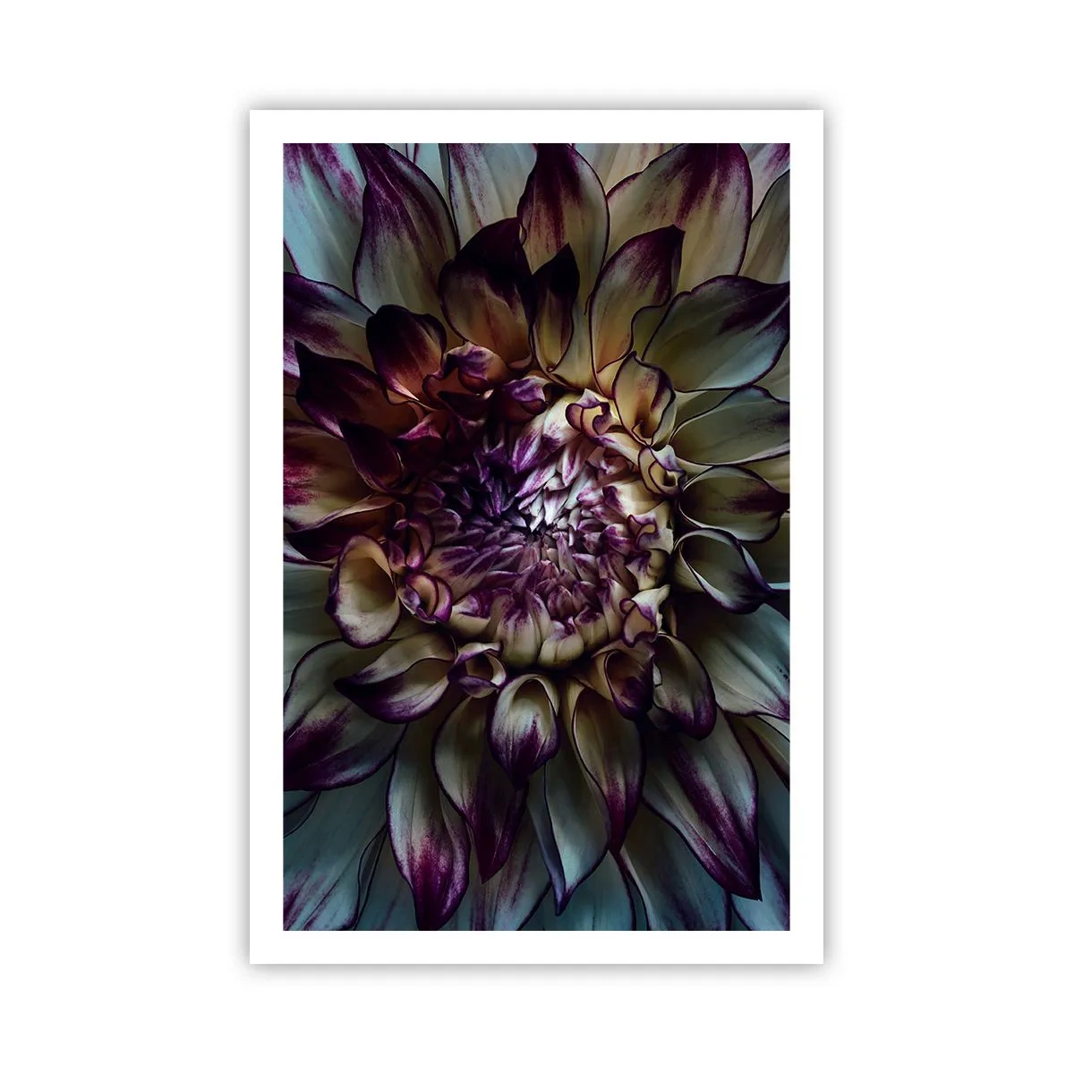 Poster - The Blossoming of Youth - 61x91 cm