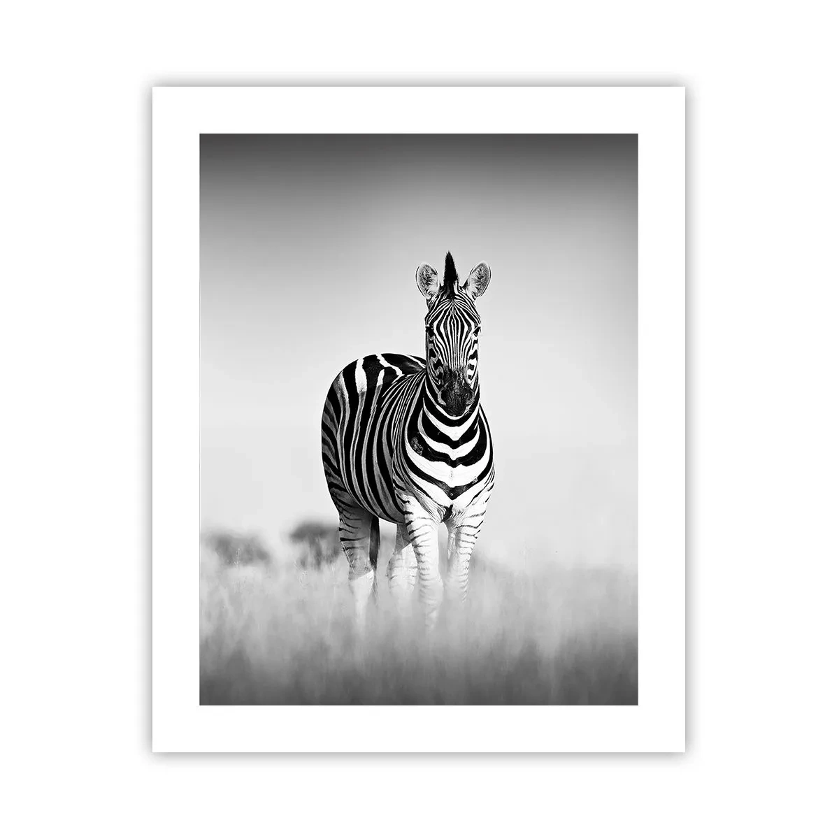 Poster - After All the World is Black and White - 40x50 cm