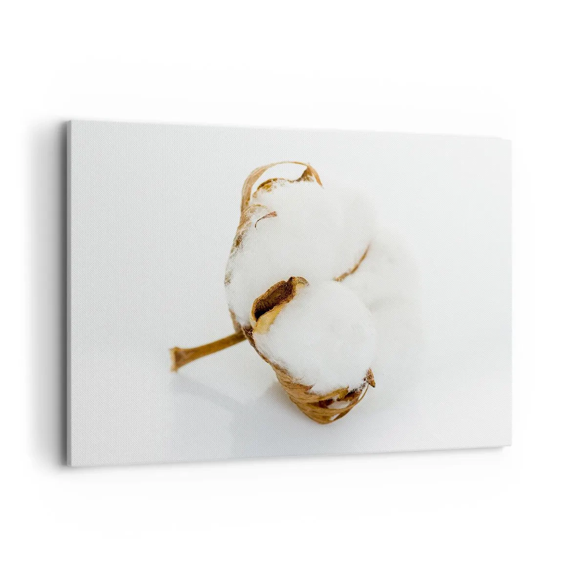 Canvas picture - Soft By Nature - 100x70 cm