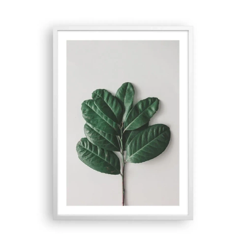 Poster in white frmae - Drawing of Nature Itself - 50x70 cm