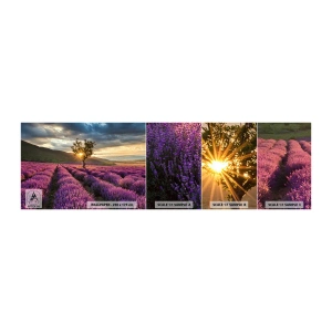 Photo Wallpaper Sample Self-Adhesive Deluxe Sticker - Lilac Coloured Aroma - Landscape, Lavender, Provence - 100x30 cm