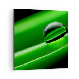 Canvas picture - Life from a Close-Up - 50x50 cm