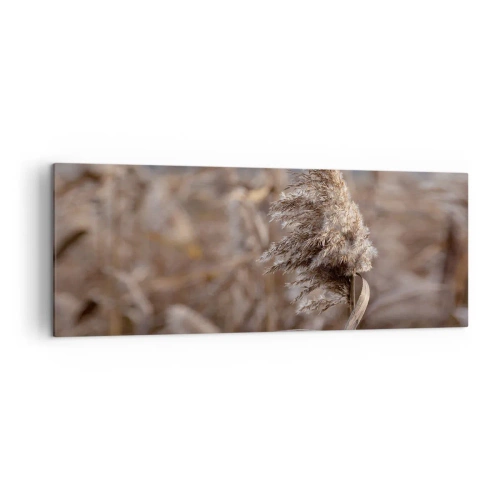 Canvas picture - Time to Fly with the Wind - 140x50 cm