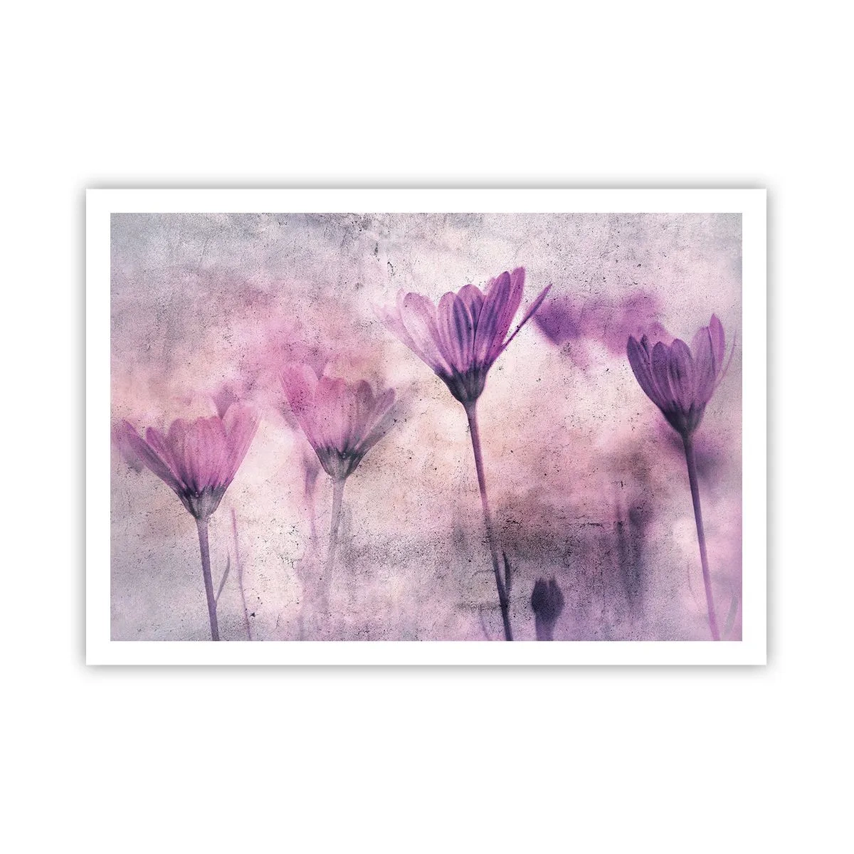 Poster - Dream of Flowers - 100x70 cm