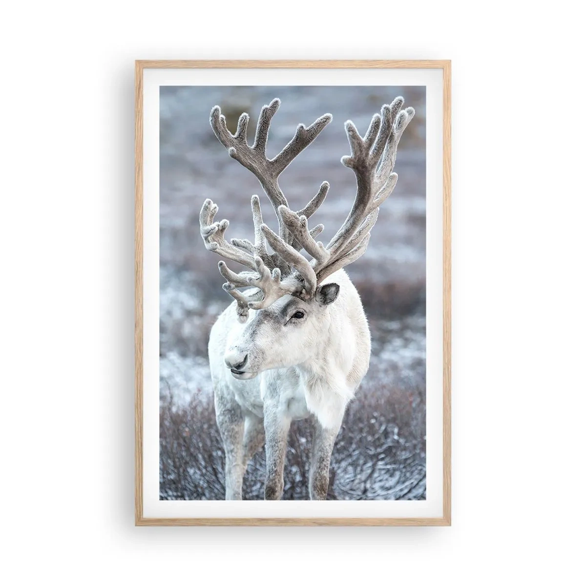 Poster in light oak frame - Portrait in the Sun - 61x91 cm