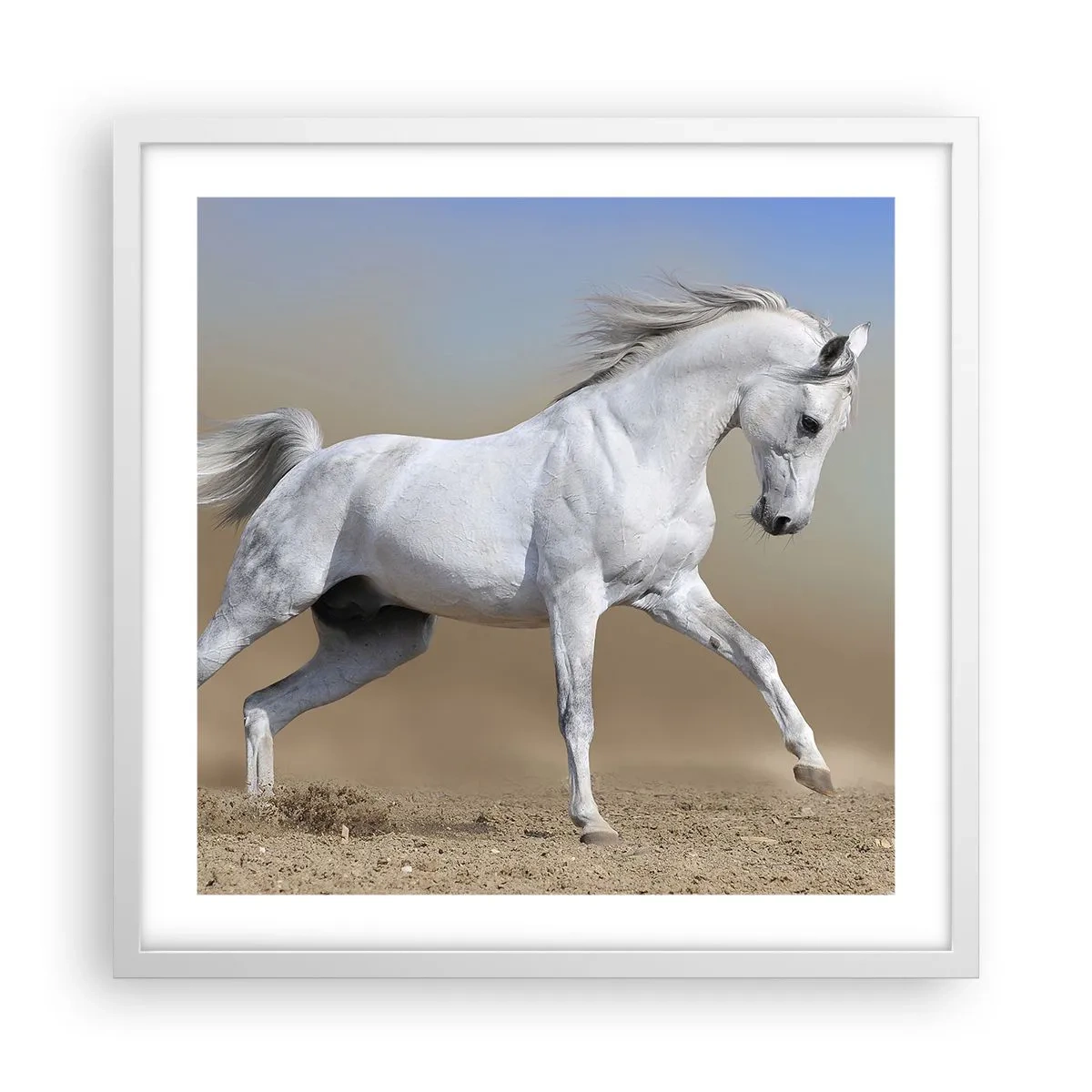 Poster in white frmae - The Most Beautiful Arabic Tale - 50x50 cm