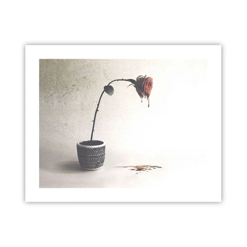 Poster - Rosa Dolorosa - 50x40 cm
