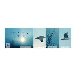 Photo Wallpaper Sample Self-Adhesive Deluxe Sticker - Farewell to Summer for a Year - Landscape, Stork, Birds - 100x30 cm