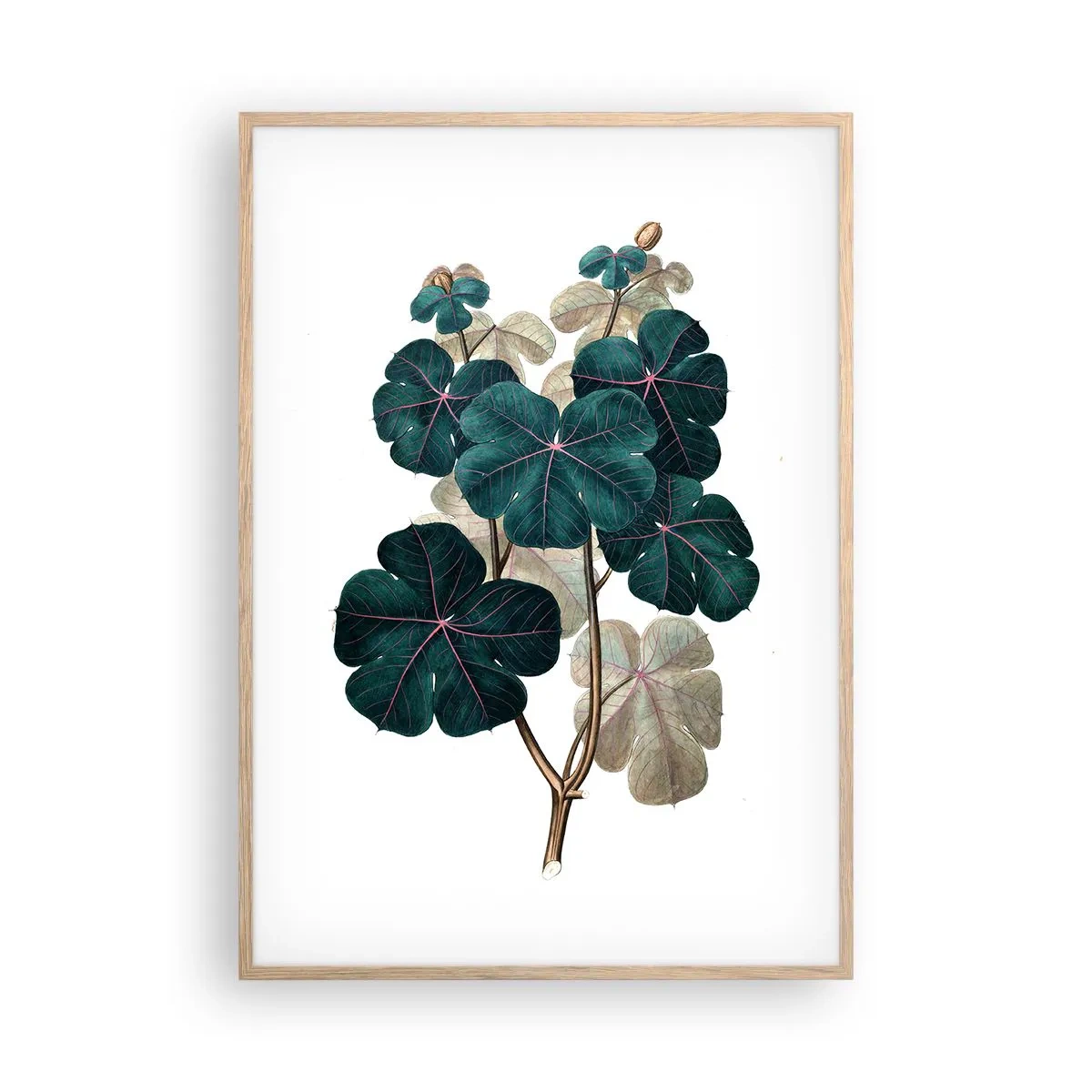 Poster in light oak frame - From the Old Herbarium - 70x100 cm