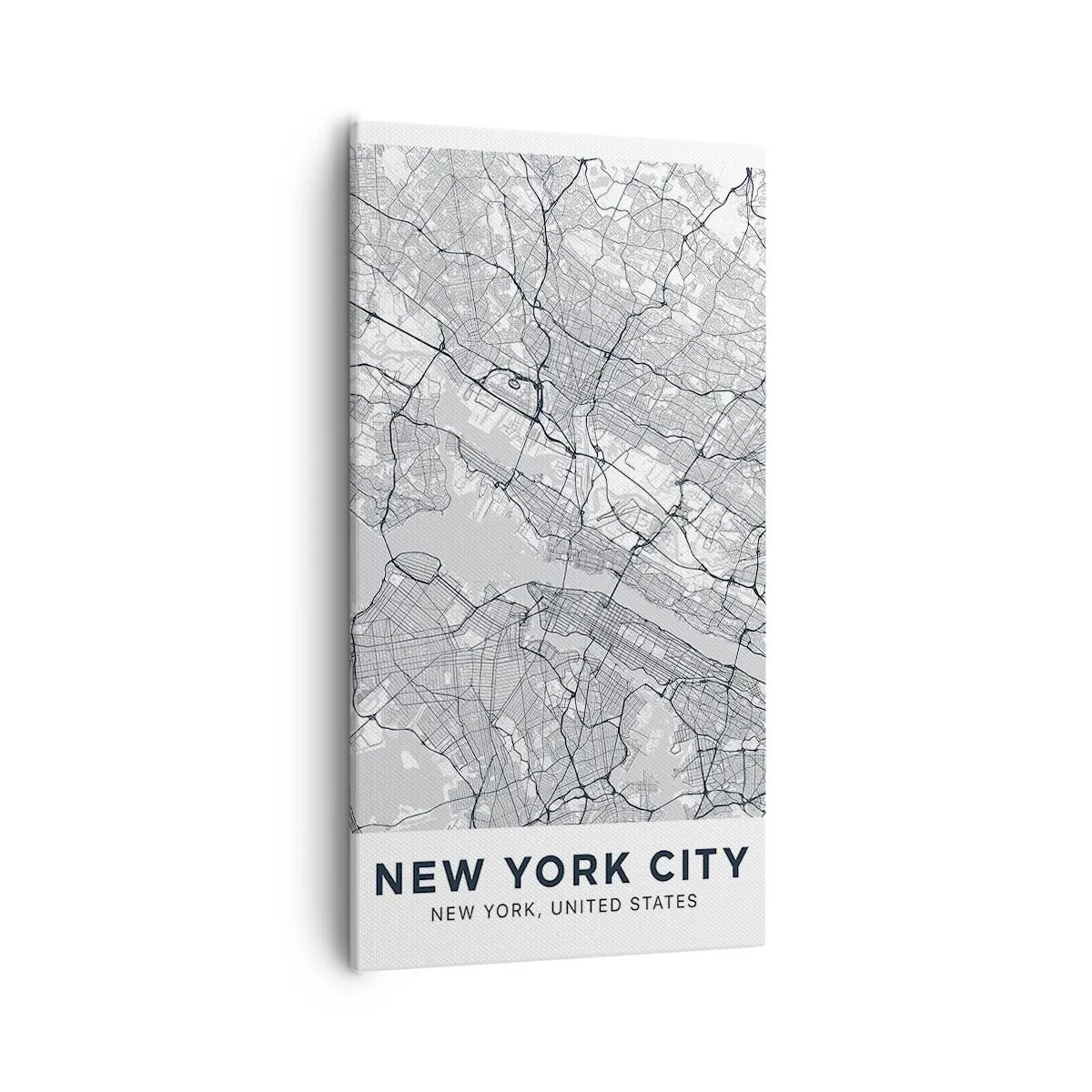 Canvas picture - Anatomy of Metropolis - 55x100 cm