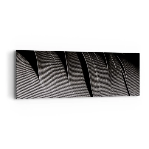 Canvas picture - Feather - Wonderful Constract - 90x30 cm