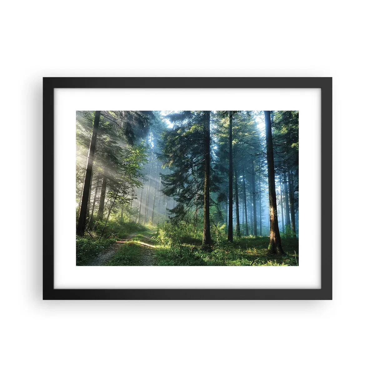 Poster in black frame - Radiant at Dawn - 40x30 cm