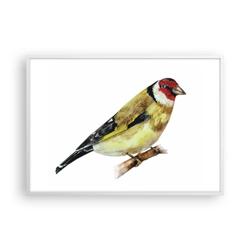Poster in white frmae - Bird Portrait - 100x70 cm