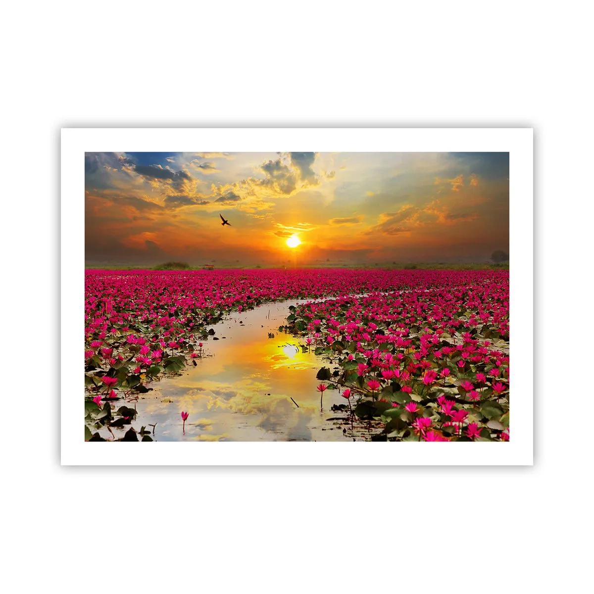 Poster - Secret Life of a Lake - 70x50 cm