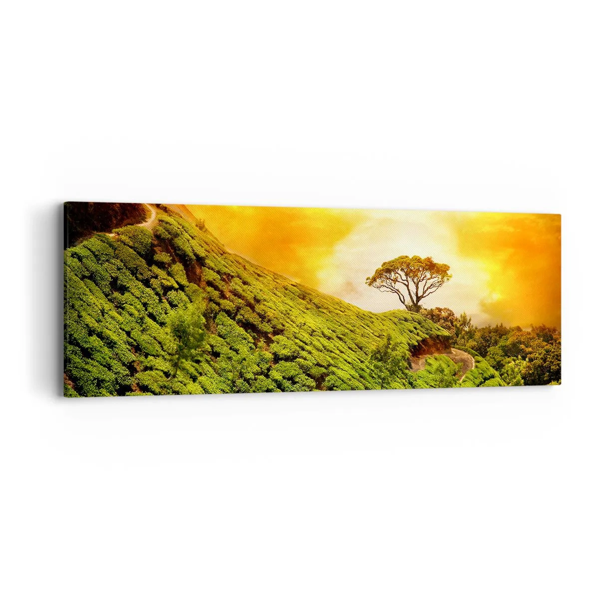 Canvas picture - Winding Path, Green Slope - 90x30 cm