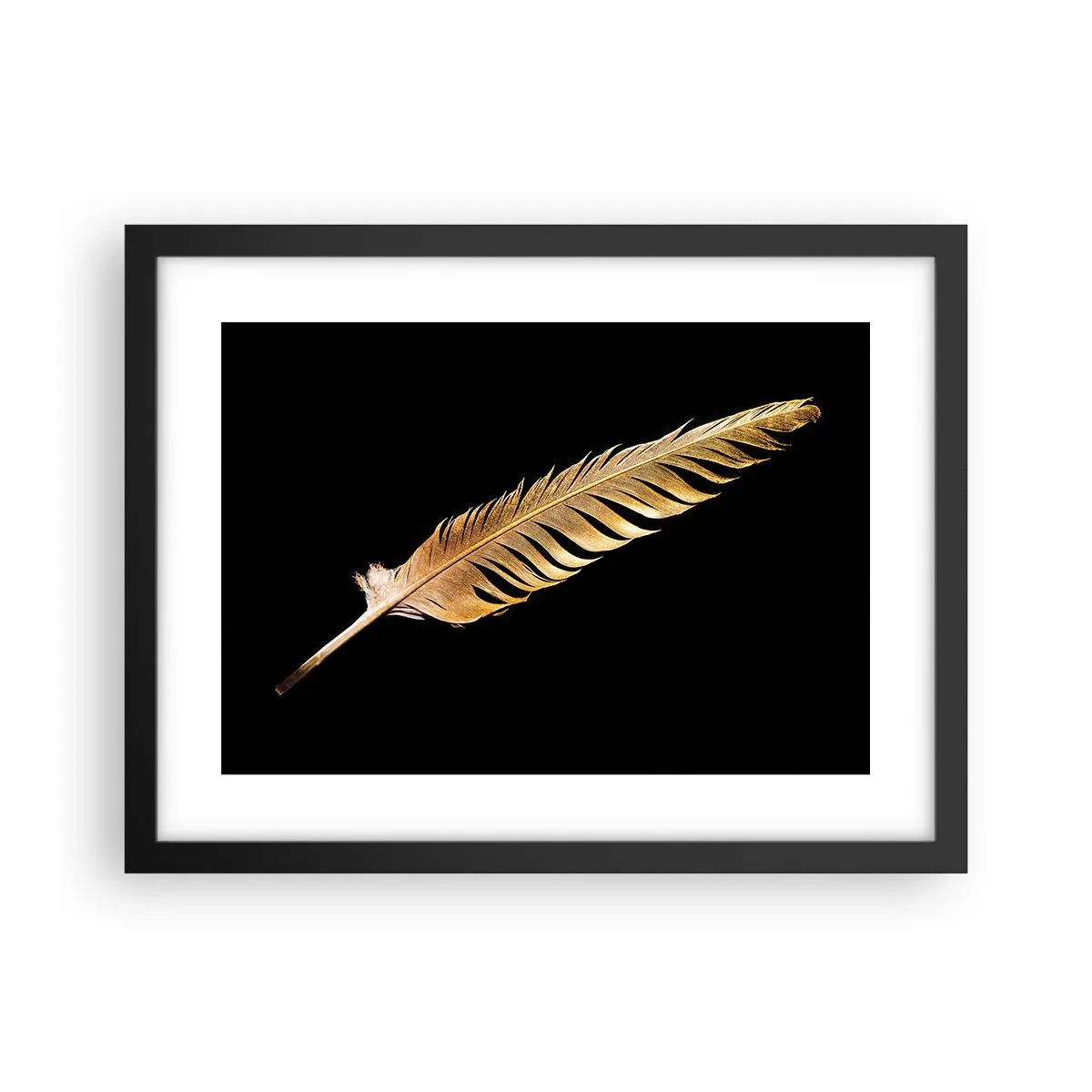 Poster in black frame - High-Class Feather - 40x30 cm