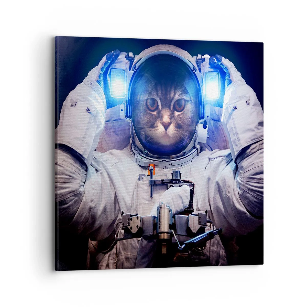 Canvas picture - Houston, You've Got a Problem - 70x70 cm