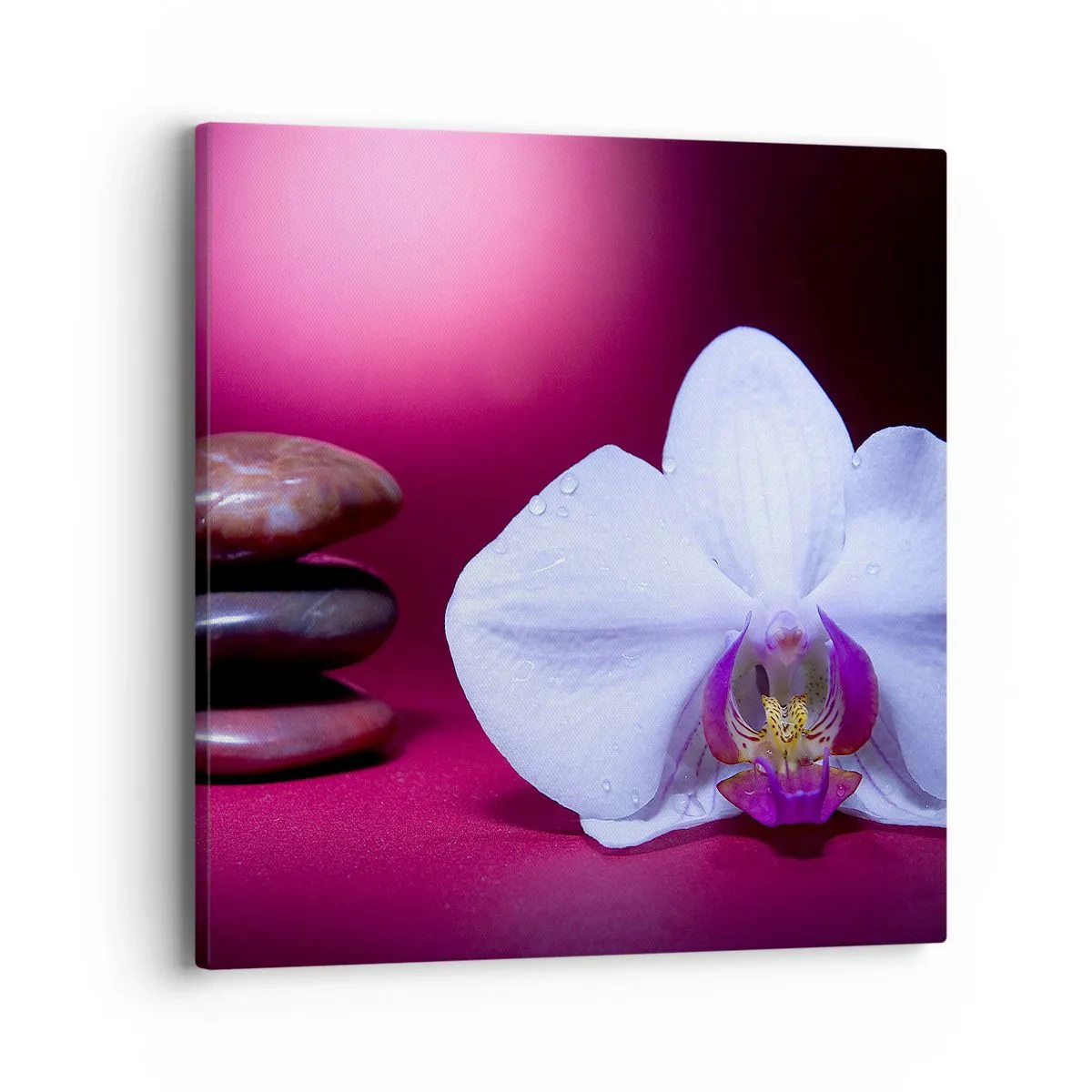 Canvas picture - Study of Freshness in Purple - 40x40 cm