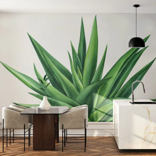 Photo Wallpaper Premium Sand - Green - Power - Life - Plant, Aloe, Botany - 350x256 cm