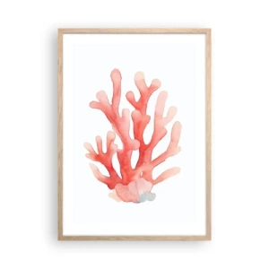 Poster in light oak frame - Coral Colour Colars - 50x70 cm