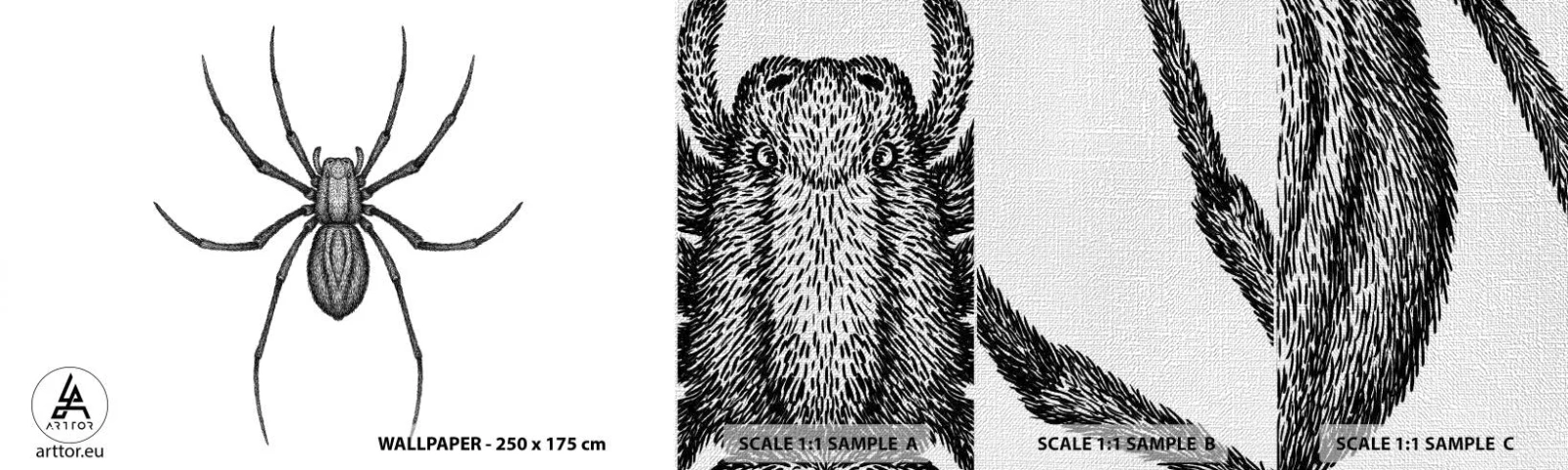 Photo Wallpaper Sample Premium Canvas - Disturbing Precision - Spider, Insect, Minimalistic - 100x30 cm