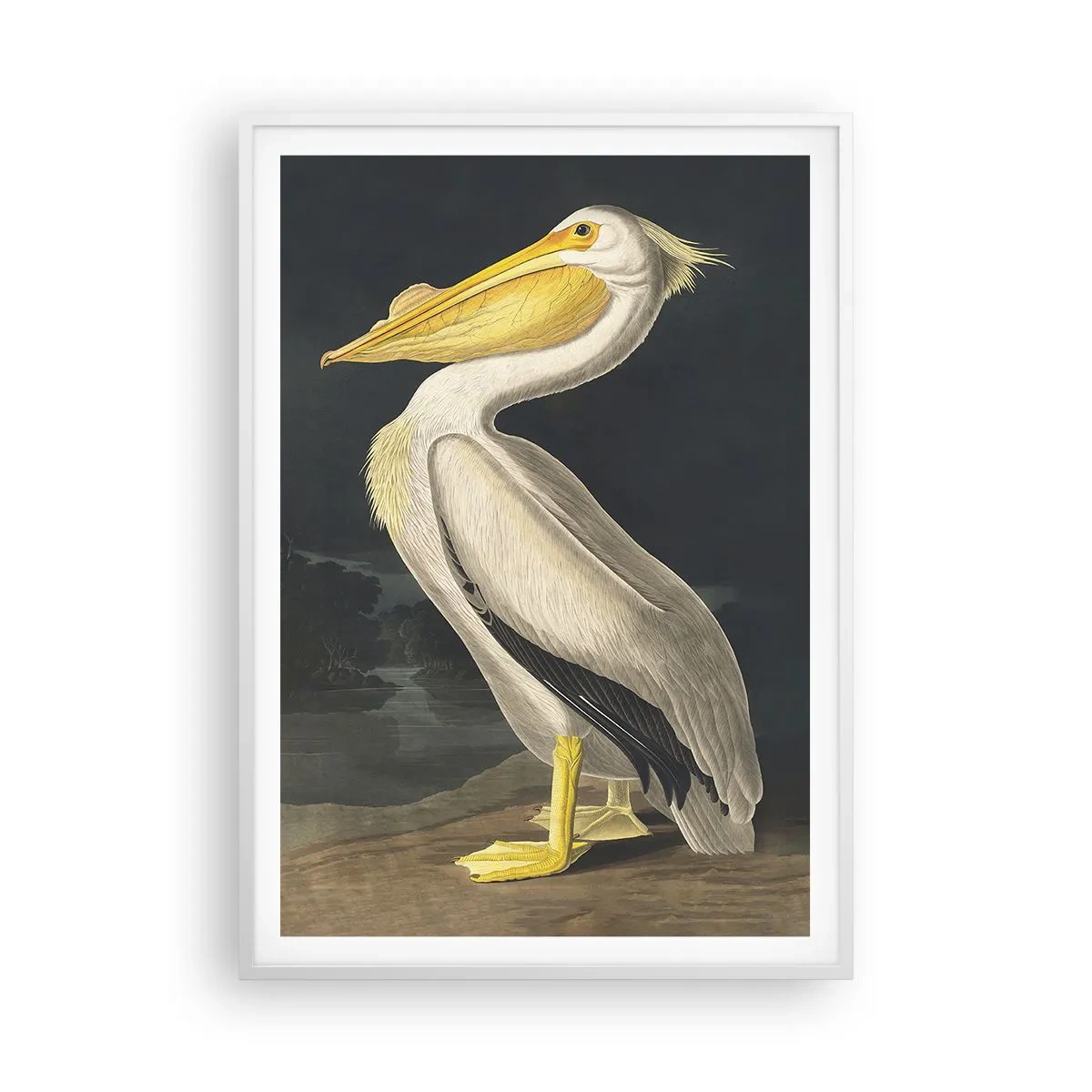 Poster in white frmae - Full of Pride - 70x100 cm