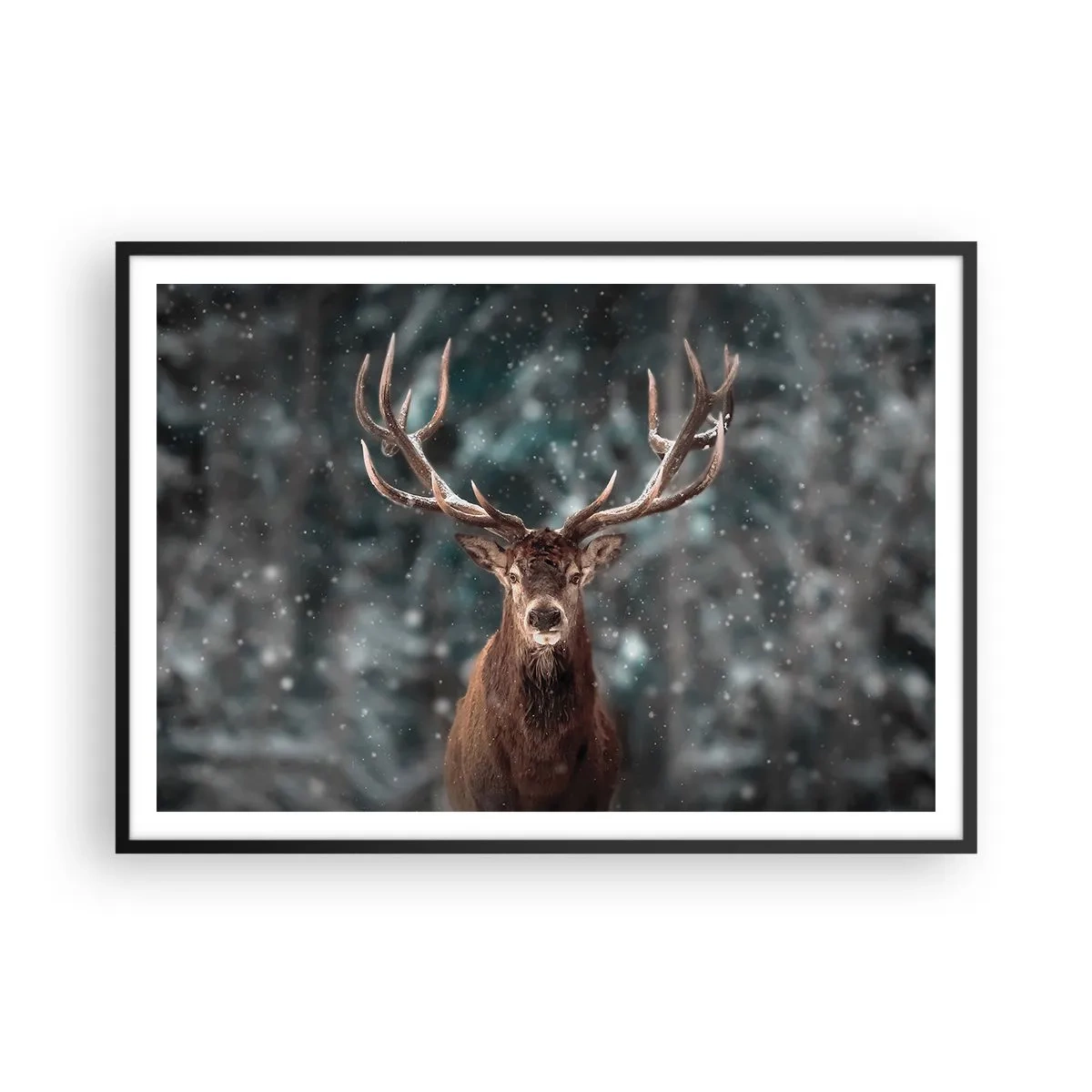Poster in black frame - King of Forest Crowned - 100x70 cm