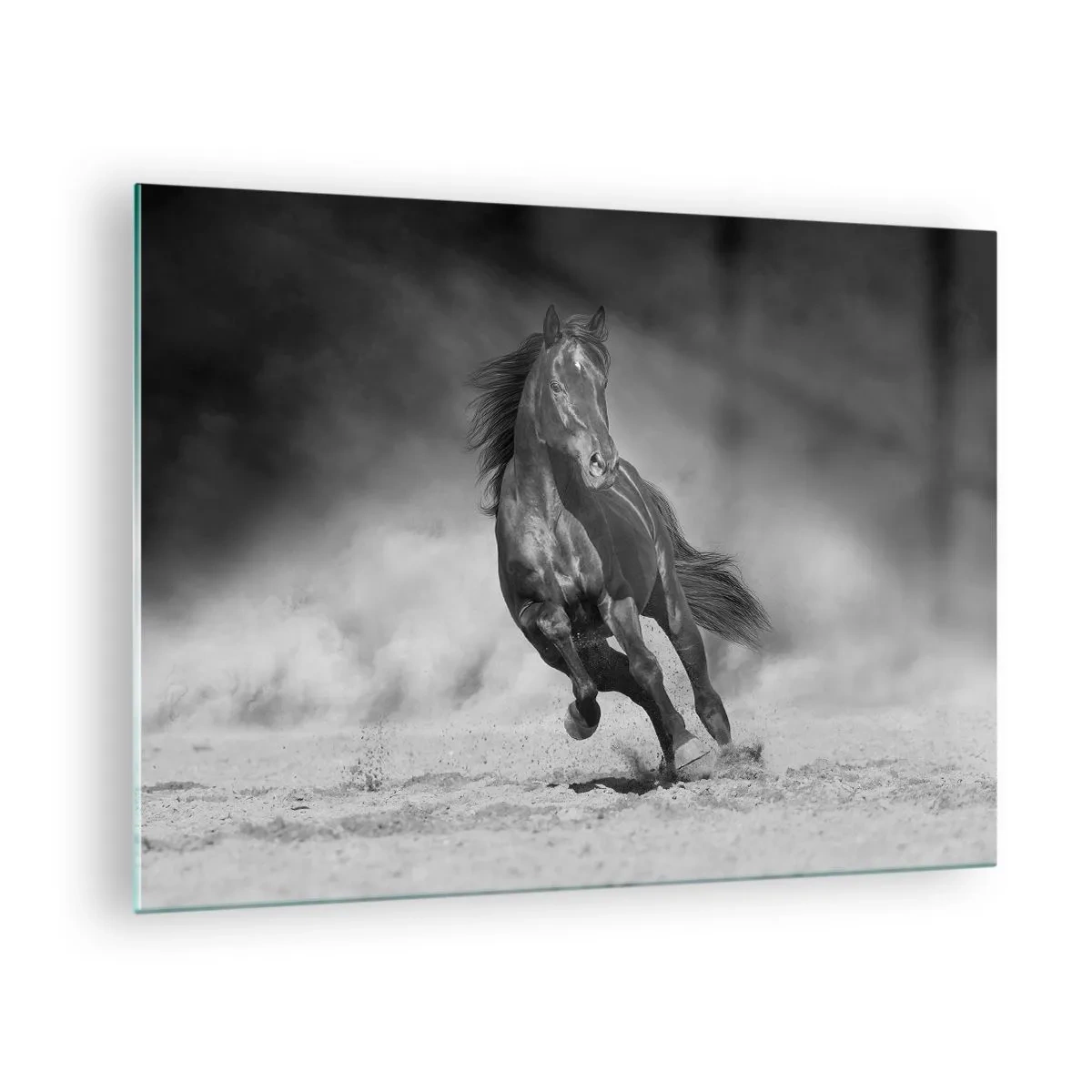 Glass picture - A black horse galloping across the sand in black and white. - 70x50cm - Worthy of Emir Himself - Modern wall decoration for the living room and bedroom ARTTOR