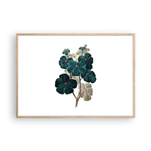 Poster in light oak frame - From the Old Herbarium - 100x70 cm