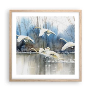 Poster in light oak frame - Like in a Fairy Tale about Wild Swans - 50x50 cm