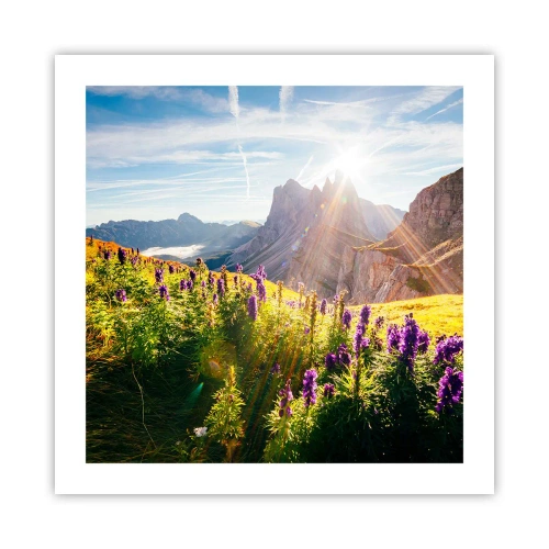 Poster - Secret Life of Herbs - 50x50 cm