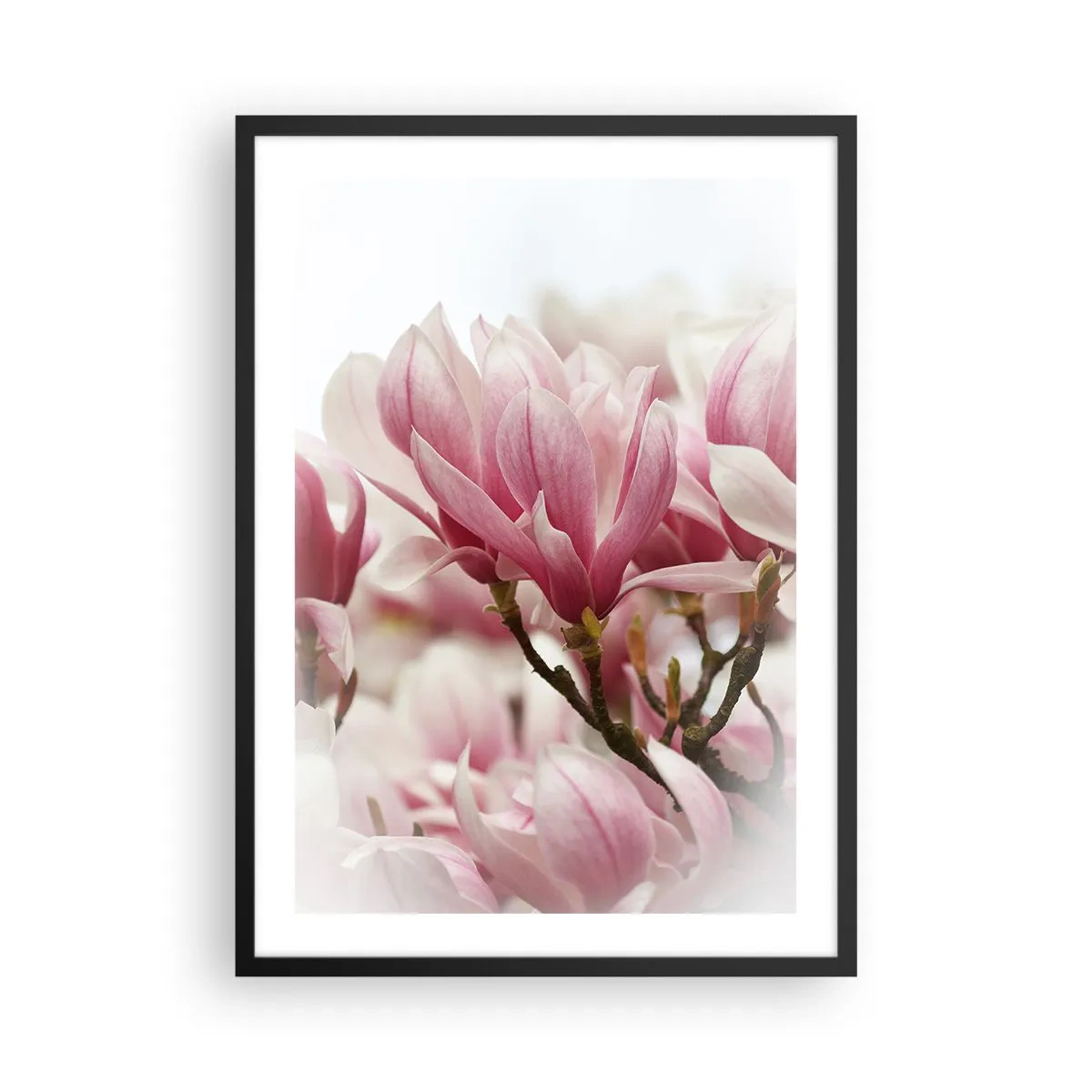 Poster in black frame - Spring flowers - 50x70cm - Spring Flowers - Modern wall decoration for the living room and bedroom ARTTOR