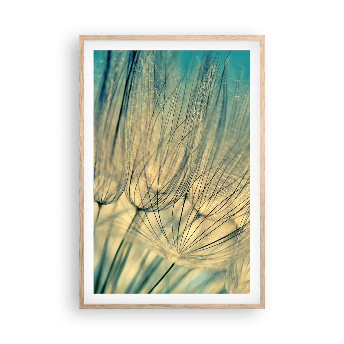 Poster in light oak frame - Waiting for the Wind - 61x91 cm