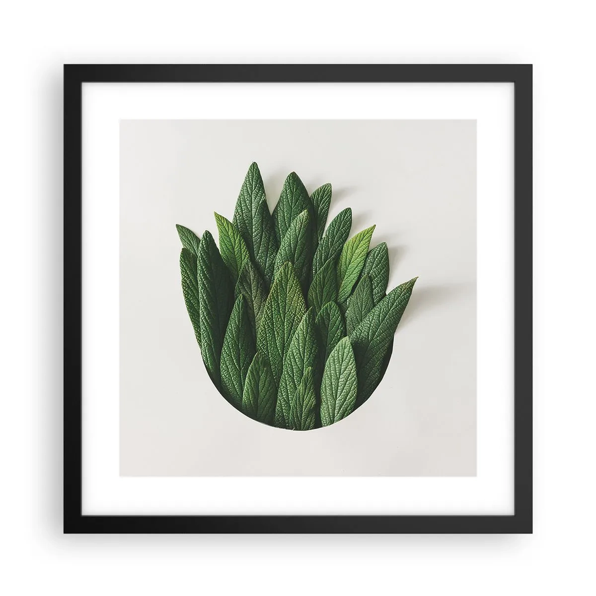 Poster in black frame - Untamed Curiosity - 40x40 cm