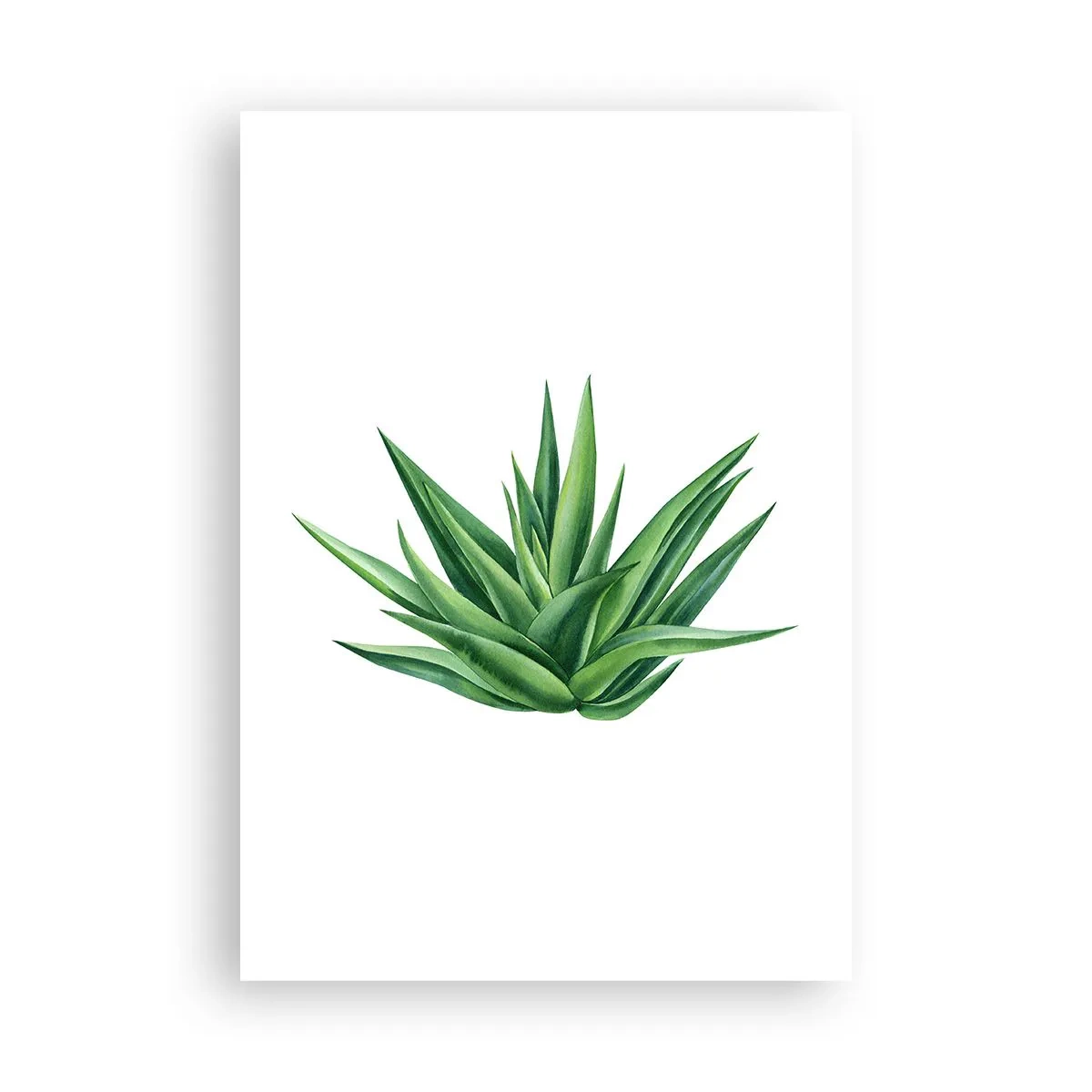 Poster - Green - Power - Life - 70x100 cm