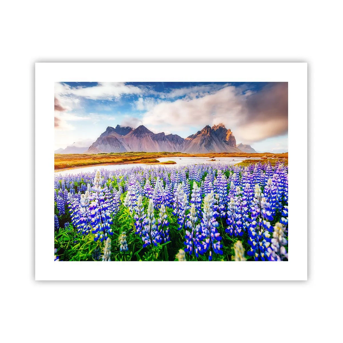 Poster - Strength and Severity next to Sweetness - 50x40 cm