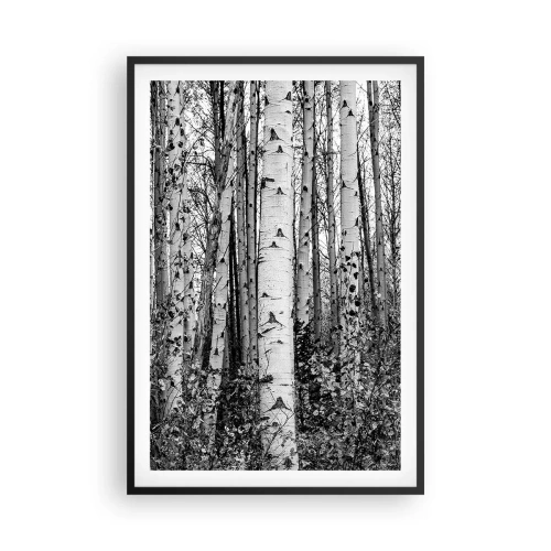 Poster in black frame - Birch Colonnade - 61x91 cm