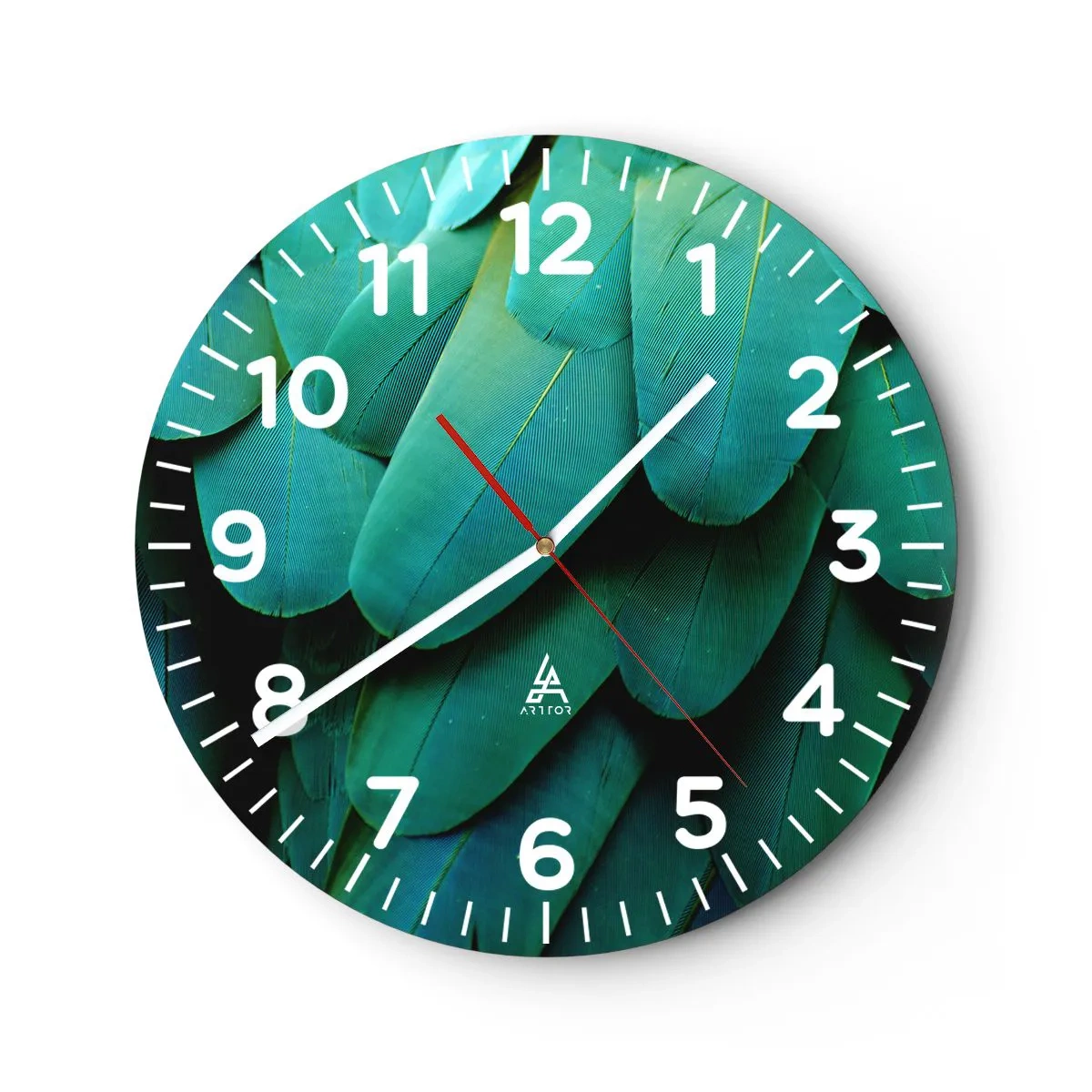 Wall clock - Clock on glass - Precision of Parrot Nature - 30x30 cm