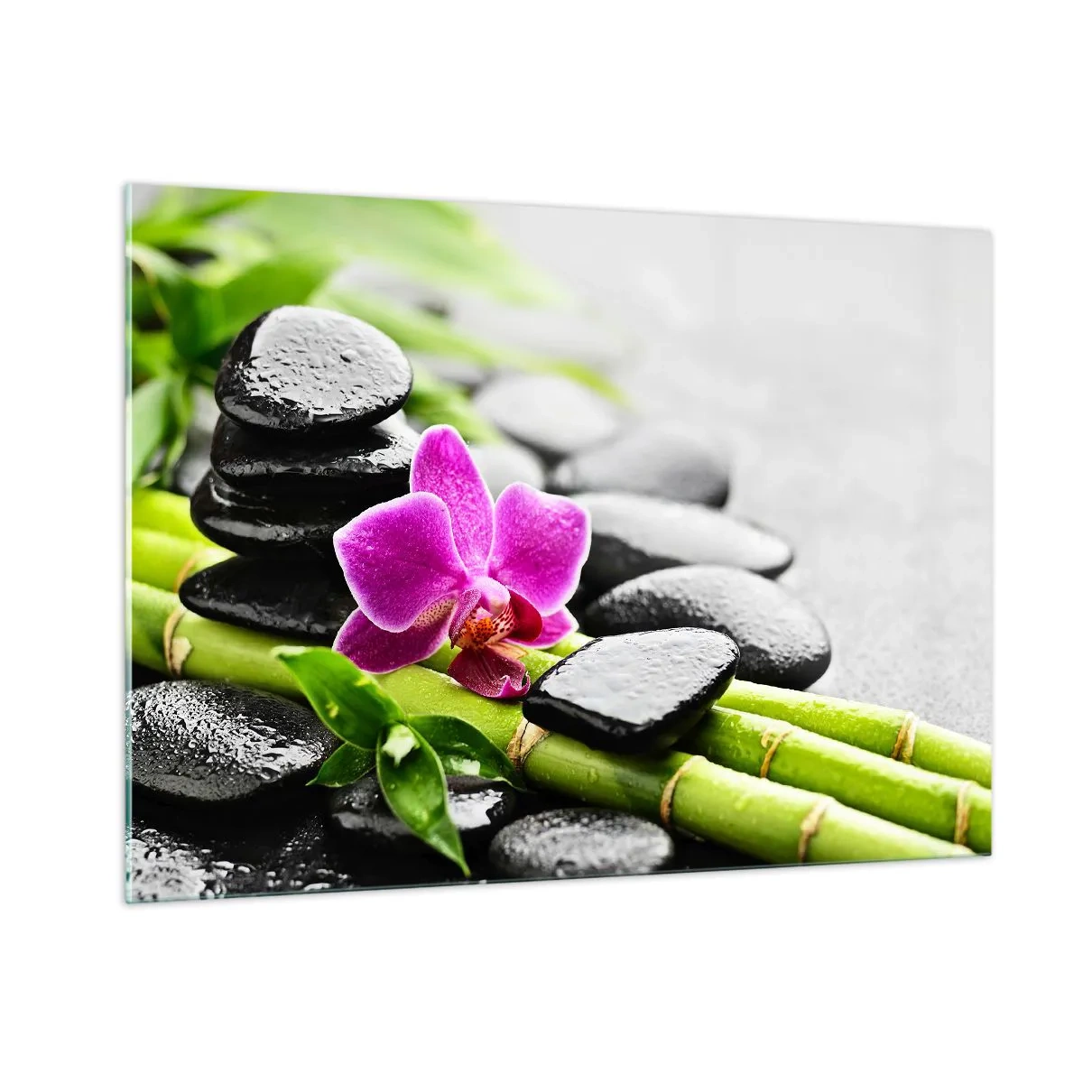 Glass picture - In a Peaceful Balance - 100x70 cm