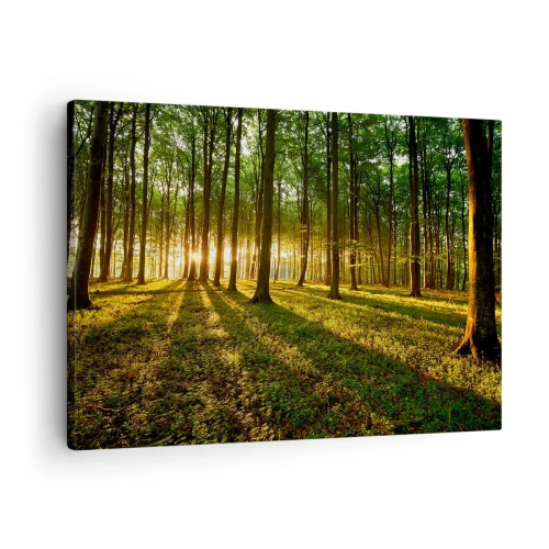 Canvas picture - The setting sun in the deciduous forest - 70x50cm - Photography of All Springs - Modern wall decoration for the living room and bedroom ARTTOR