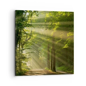Canvas picture - Forest Moment - 70x70 cm